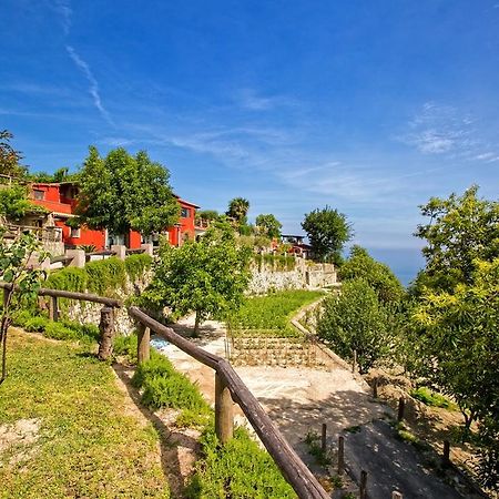 Agriturismo Pera Di Basso Ischia Exterior photo