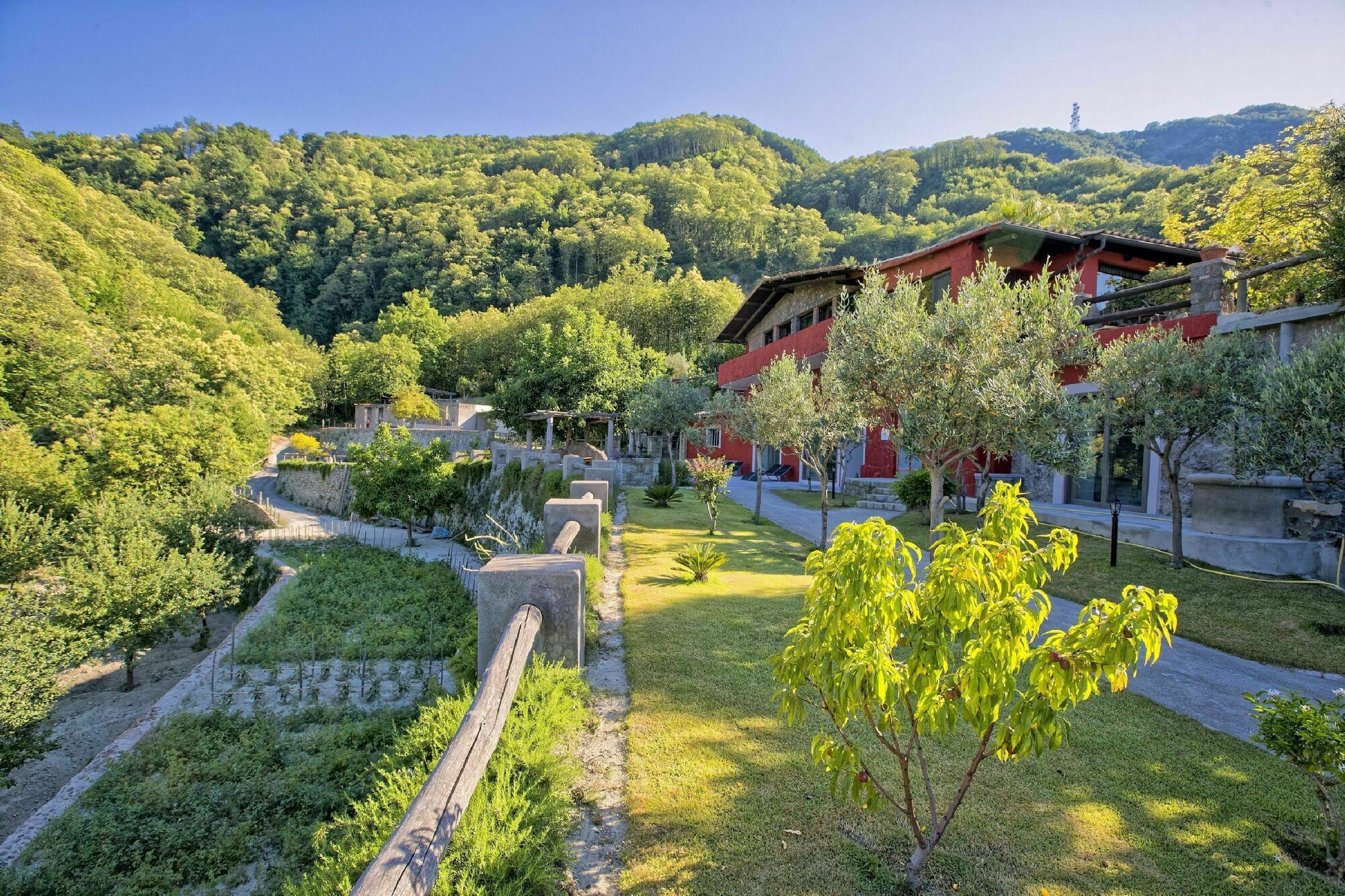 Agriturismo Pera Di Basso Ischia Exterior photo